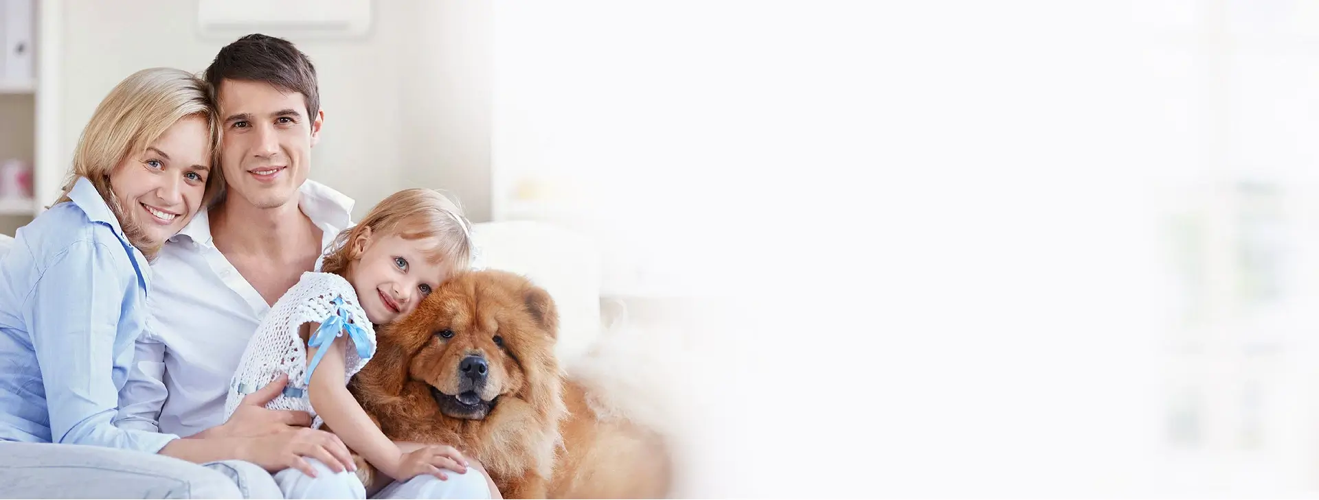 Why <span>Choose Us</span>